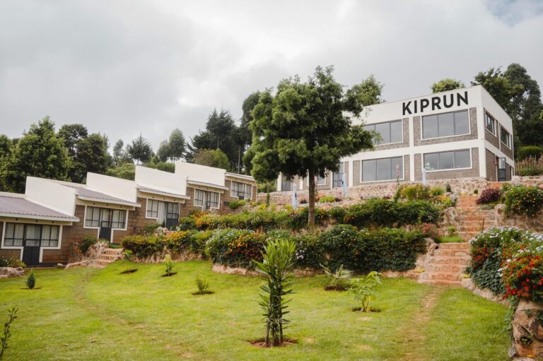 Kiprun House 42