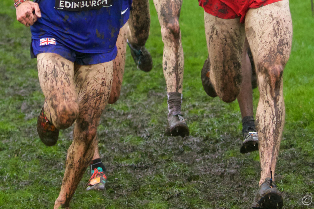 Foto Ian Robertson from East Lothian, Scotland, via Wikimedia Commons