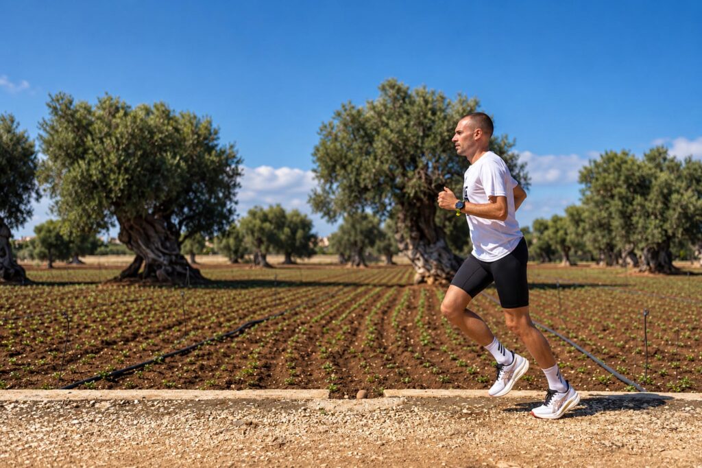 Un passaggio tra gli ulivi secolari della Egnazia Half Marathon (immagine TRC)